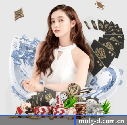 公司成立
