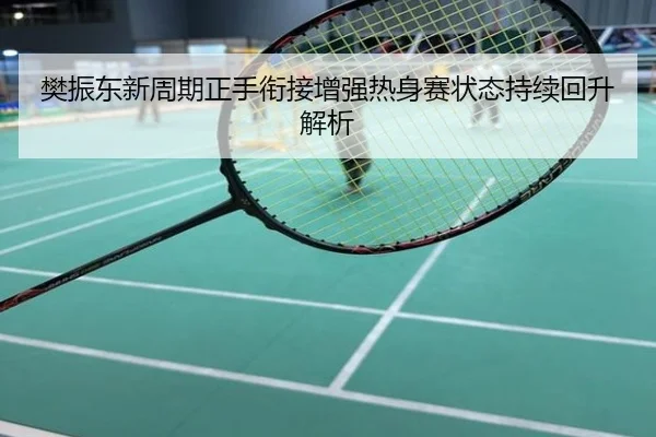 樊振东新周期正手衔接增强热身赛状态持续回升解析